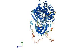 AlphaFold protein structure predicition of Human Recombinant AKT1 Protein, UniprotID P31749