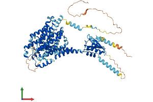 AlphaFold protein structure predicition of Mouse Recombinant Slc26a2 Protein, UniprotID Q62273