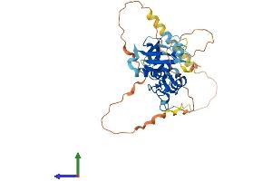 AlphaFold protein structure predicition of Human Recombinant PCGF6 Protein, UniprotID Q9BYE7