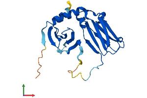 AlphaFold protein structure predicition of Mouse Recombinant Dpcd Protein, UniprotID Q8BPA8