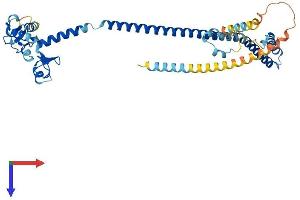 AlphaFold protein structure predicition of Human Recombinant TRIM13 Protein, UniprotID O60858