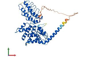 AlphaFold protein structure predicition of Human Recombinant ANKMY2 Protein, UniprotID Q8IV38