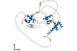 AlphaFold protein structure predicition of Human Recombinant PAX4 Protein, UniprotID O43316