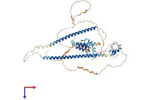 AlphaFold protein structure predicition of Human Recombinant CBFA2T2 Protein, UniprotID O43439