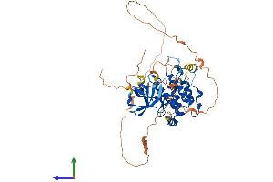 AlphaFold protein structure predicition of Mouse Recombinant Ripk3 Protein, UniprotID Q9QZL0