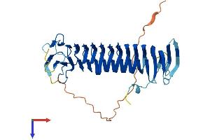 AlphaFold protein structure predicition of Mouse Recombinant Fam185a Protein, UniprotID Q7TPD2