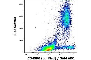 Flow cytometry surface staining pattern of human peripheral whole blood stained using anti-human CD45R0 (UCHL1) purified antibody (concentration in sample 1 μg/mL, GAM APC). (CCL20 anticorps)