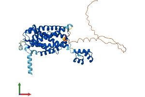 AlphaFold protein structure predicition of Mouse Recombinant Cers5 Protein, UniprotID Q9D6K9