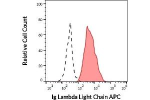 Separation of human Ig Lambda Light Chain positive B cells (red-filled) from human Ig Lambda Light Chain negative B cells (black-dashed) in flow cytometry analysis (surface staining) of human peripheral whole blood stained using anti-human Ig Lambda Light Chain (4C2) APC (10 μL reagent / 100 μL of peripheral whole blood). (Lambda-IgLC anticorps  (APC))