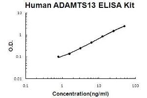 Human  ADAMTS13 EZ Set ELISA Kit standard curve