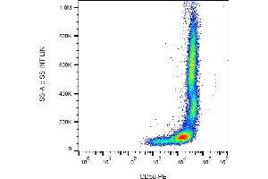 Flow cytometry analysis (surface staining) of human peripheral blood cells with anti-CD58 (MEM-63) PE. (CD58 anticorps  (PE))