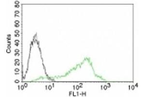 Flow cytometry testing of human 293T cells.