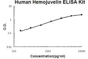 Human Hemojuvelin/RGM-C PicoKine ELISA Kit standard curve (HFE2 Kit ELISA)