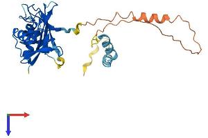 AlphaFold protein structure predicition of Human Recombinant TRNAU1AP Protein, UniprotID Q9NX07
