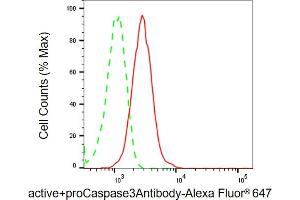 Flow cytometric analysis of active+proCaspase3Antibody expression in HT- cells using active+proCaspase3Antibody antibody (ABIN7797489), 1:2,000). (Recombinant Active+pro Caspase 3 anticorps)