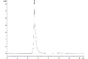 The purity of Biotinylated Human Siglec-10 is greater than 95 % as determined by SEC-HPLC.