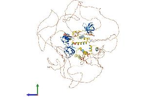 AlphaFold protein structure predicition of Mouse Recombinant Sorbs2 Protein, UniprotID Q3UTJ2