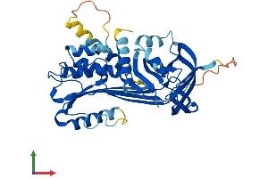 AlphaFold protein structure predicition of Mouse Recombinant Serpinb13 Protein, UniprotID Q8CDC0