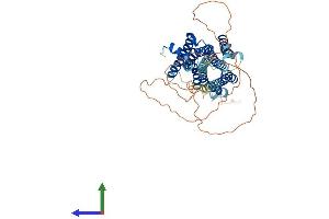 AlphaFold protein structure predicition of Human Recombinant HRH1 Protein, UniprotID P35367