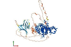 AlphaFold protein structure predicition of Human Recombinant TBC1D17 Protein, UniprotID Q9HA65