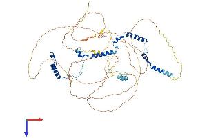 AlphaFold protein structure predicition of Human Recombinant PHACTR2 Protein, UniprotID O75167