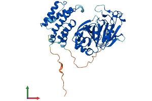 AlphaFold protein structure predicition of Human Recombinant KDM8 Protein, UniprotID Q8N371