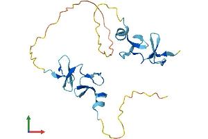 AlphaFold protein structure predicition of Human Recombinant CRIP2 Protein, UniprotID P52943