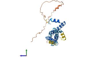 AlphaFold protein structure predicition of Human Recombinant TMEM65 Protein, UniprotID Q6PI78