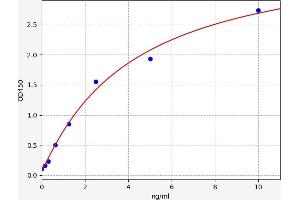 Sialic Acid Binding Ig-Like Lectin 10 (SIGLEC10) ELISA Kit