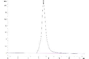 The purity of Human IL-1 Rrp2 is greater than 95 % as determined by SEC-HPLC.