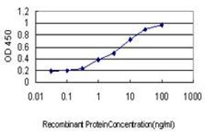 Detection limit for recombinant GST tagged ALAS2 is approximately 0. (ALAS2 anticorps  (AA 1-100))
