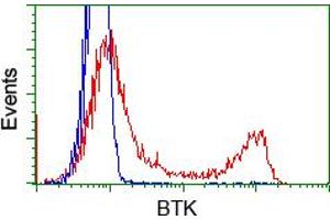 Image no. 6 for anti-Bruton Agammaglobulinemia tyrosine Kinase (BTK) antibody (ABIN1496976) (BTK anticorps)
