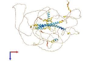 AlphaFold protein structure predicition of Human Recombinant DACT1 Protein, UniprotID Q9NYF0