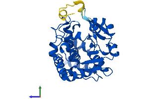 AlphaFold protein structure predicition of Mouse Recombinant Sult1c1 Protein, UniprotID Q80VR3