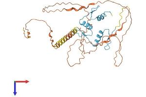 AlphaFold protein structure predicition of Mouse Recombinant Klf17 Protein, UniprotID Q8CFA7