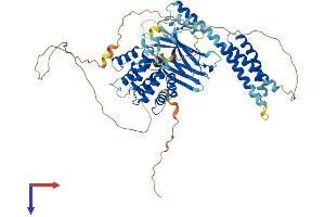 AlphaFold protein structure predicition of Human Recombinant GGA2 Protein, UniprotID Q9UJY4
