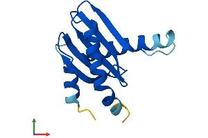 AlphaFold protein structure predicition of Human Recombinant LAMTOR2 Protein, UniprotID Q9Y2Q5