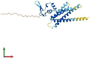 AlphaFold protein structure predicition of Mouse Recombinant Arv1 Protein, UniprotID Q9D0U9