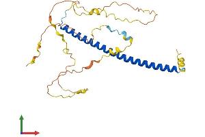 AlphaFold protein structure predicition of Human Recombinant CEBPE Protein, UniprotID Q15744