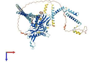 AlphaFold protein structure predicition of Human Recombinant KIF9 Protein, UniprotID Q9HAQ2
