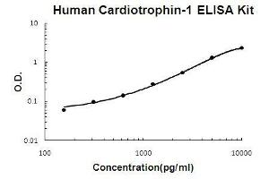 Human Cardiotrophin-1 PicoKine ELISA Kit standard curve