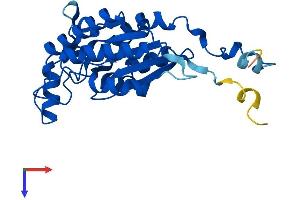 AlphaFold protein structure predicition of Mouse Recombinant Iah1 Protein, UniprotID Q9DB29