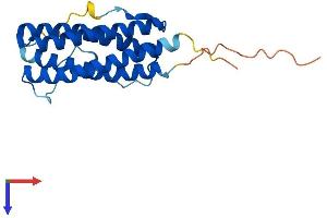 Ciliary Neurotrophic Factor (CNTF) (AA 1-200) protein (His tag)