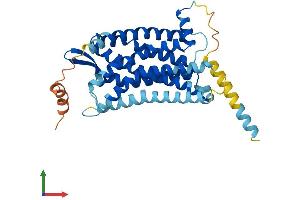 AlphaFold protein structure predicition of Mouse Recombinant Gpr15 Protein, UniprotID Q0VDU3