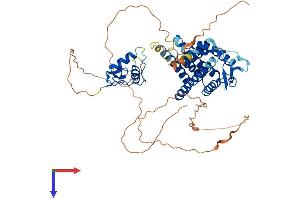 AlphaFold protein structure predicition of Human Recombinant ESR2 Protein, UniprotID Q92731