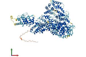 AlphaFold protein structure predicition of Human Recombinant MED23 Protein, UniprotID Q9ULK4