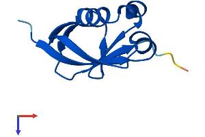 AlphaFold protein structure predicition of Human Recombinant MOCS2 Protein, UniprotID O96033