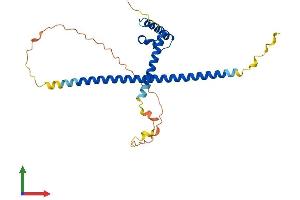 AlphaFold protein structure predicition of Human Recombinant MSANTD3 Protein, UniprotID Q96H12