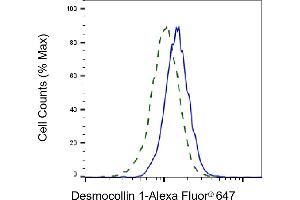 Validation of Desmocollin 1 knockdown using flow cytometry. (Recombinant Desmocollin 1 anticorps)
