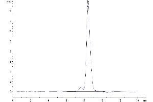 The purity of Cynomolgus B7-H2 is greater than 95 % as determined by SEC-HPLC.